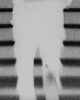 d857597e7dd04693a74294d748a494c5